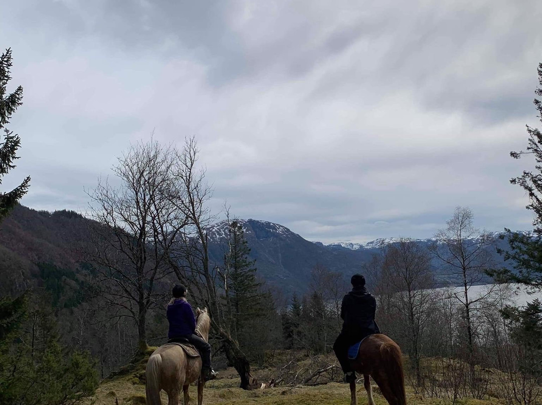 Smiedal Aktivitetsferie - Day Tours-Akra必去景点