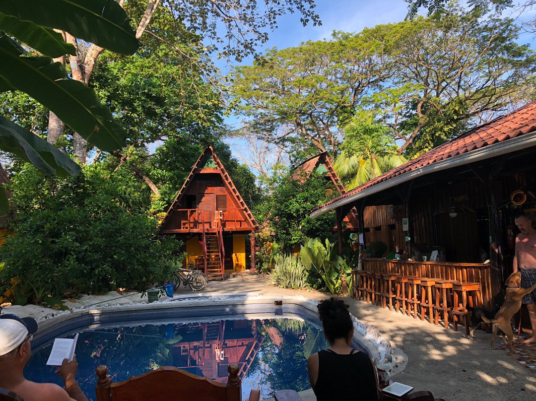 Howler Monkey Hotel主图