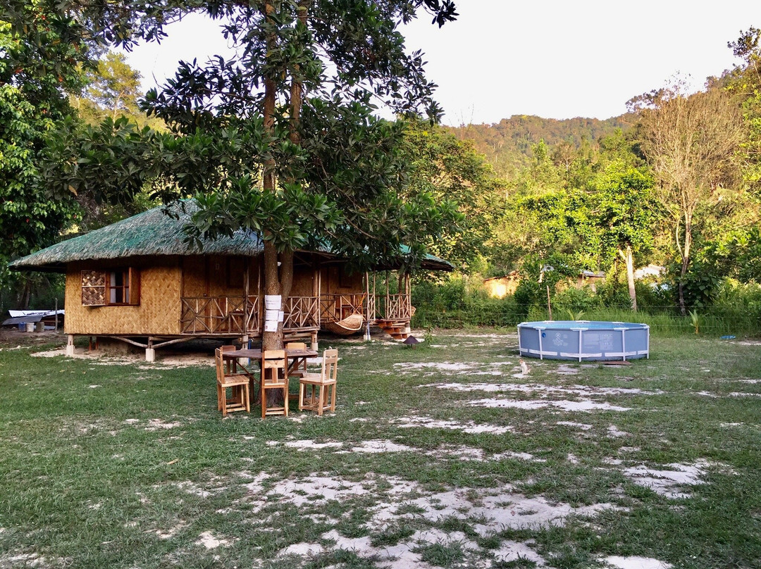 Back Trippers Inn主图