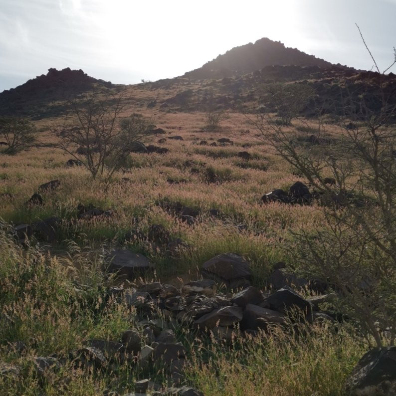 Al Rabi Hiking Trail-Khorfakkan必去景点