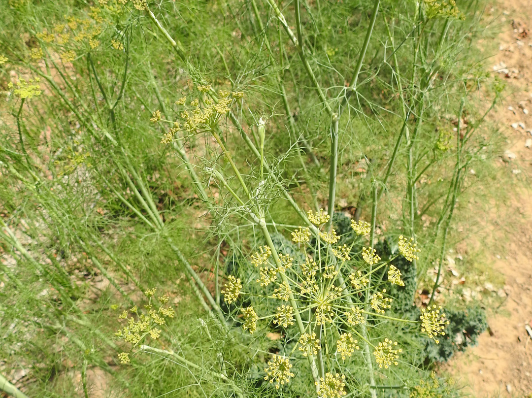 拉姆格尔港威酒店主图