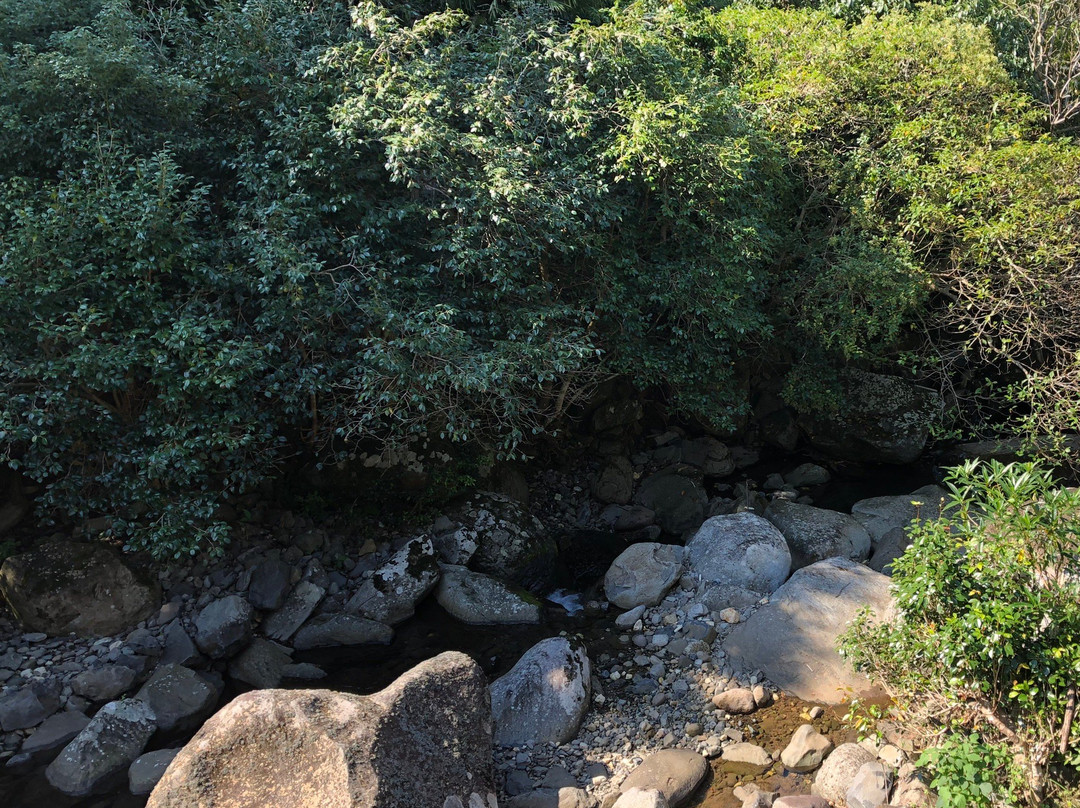 Shiba no Yu-嬉野市必去景点