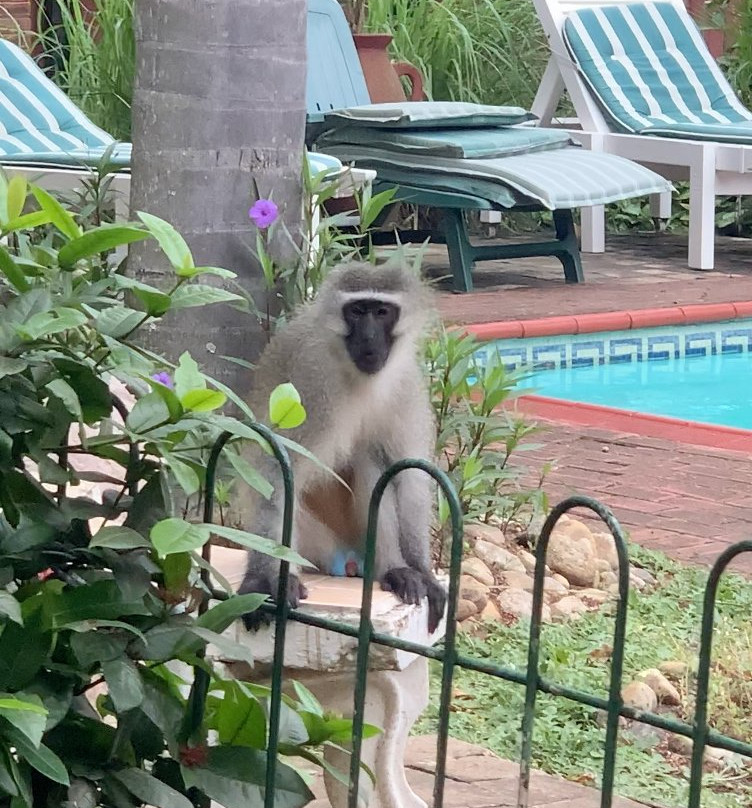 Positano Lodge