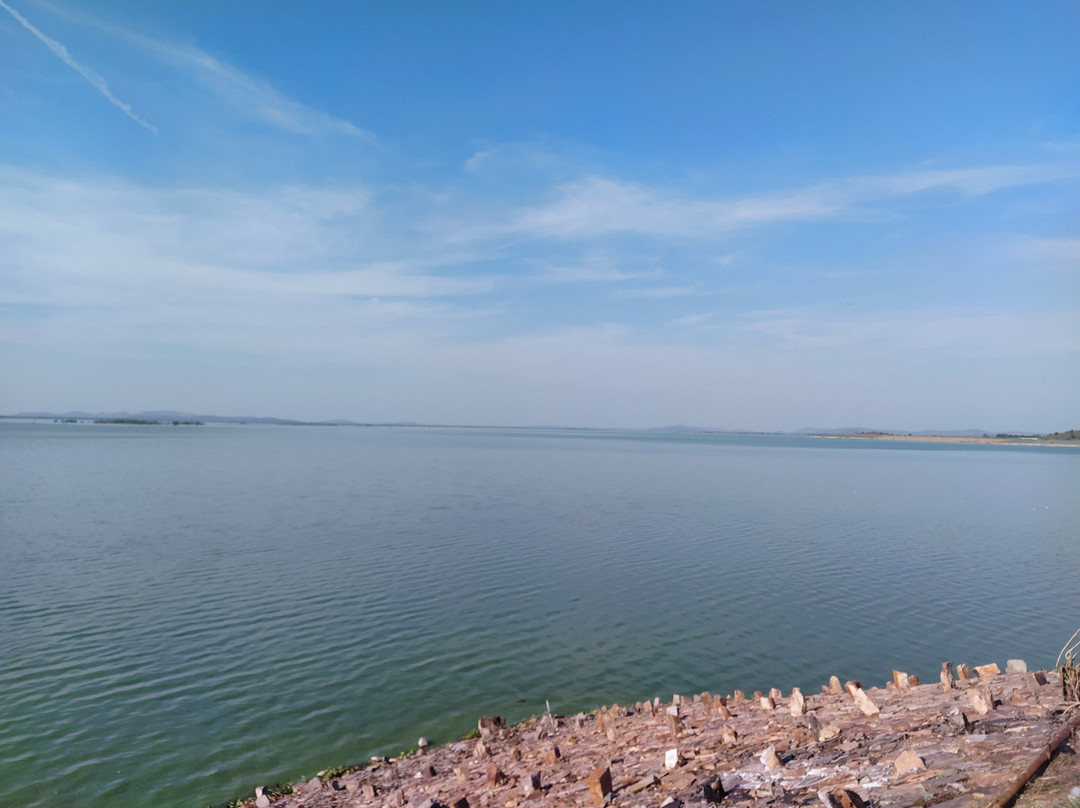 Indirasagar Dam (Gosikhurd Project)景点图片