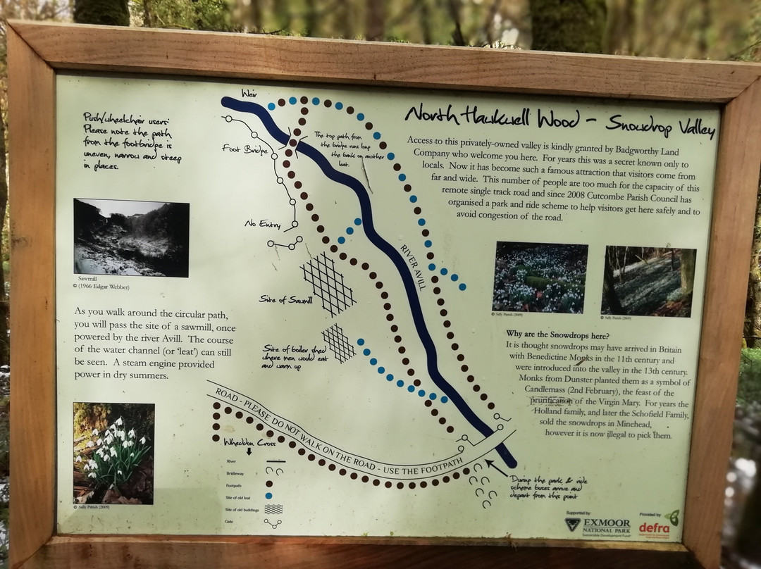 Snowdrop Valley-Wheddon Cross必去景点