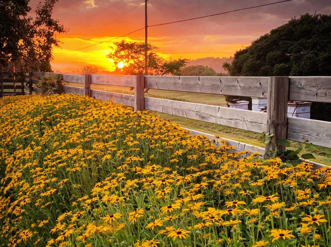 14th Coffee Co. Roastery-Essex必去景点