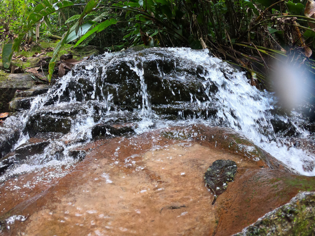 Eco Hotel Arraial do Ouro主图
