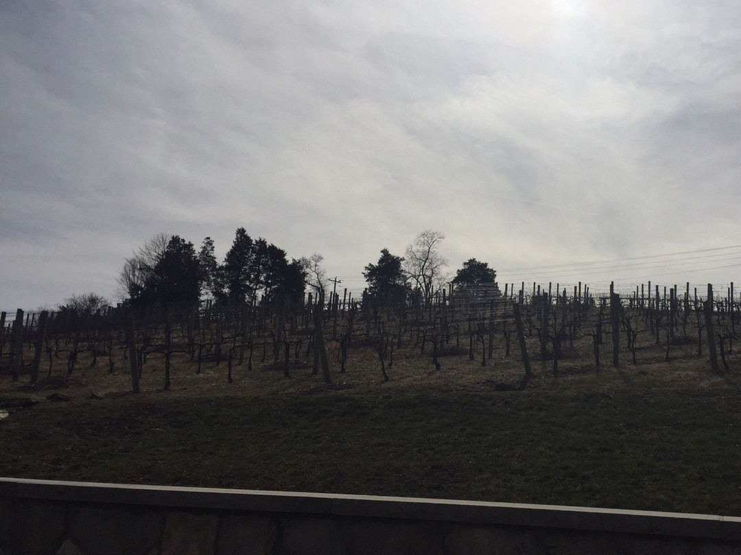 Creek's Edge Winery景点图片