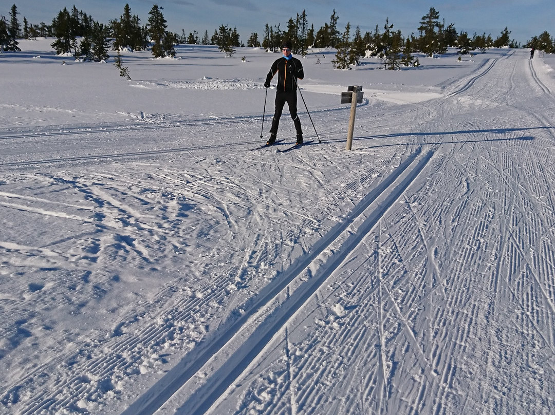 Budor Ski Centre景点图片