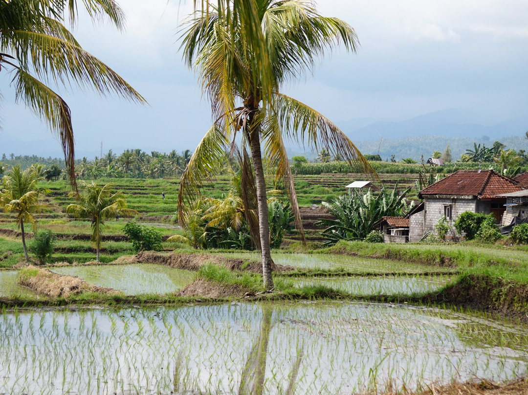 Ayumar Homestay主图