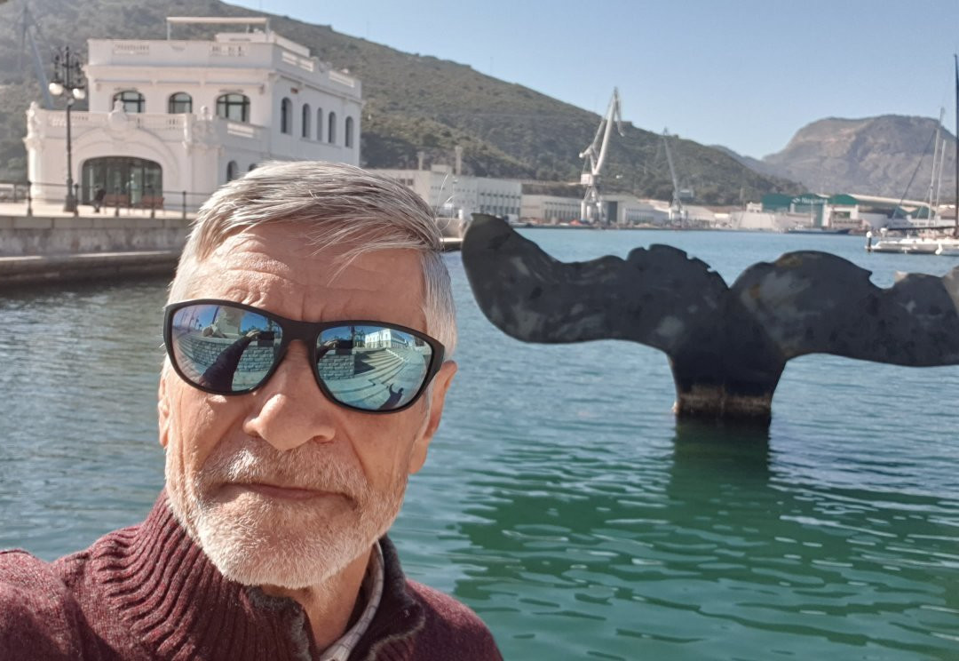 Sculpture Whale Tail景点图片