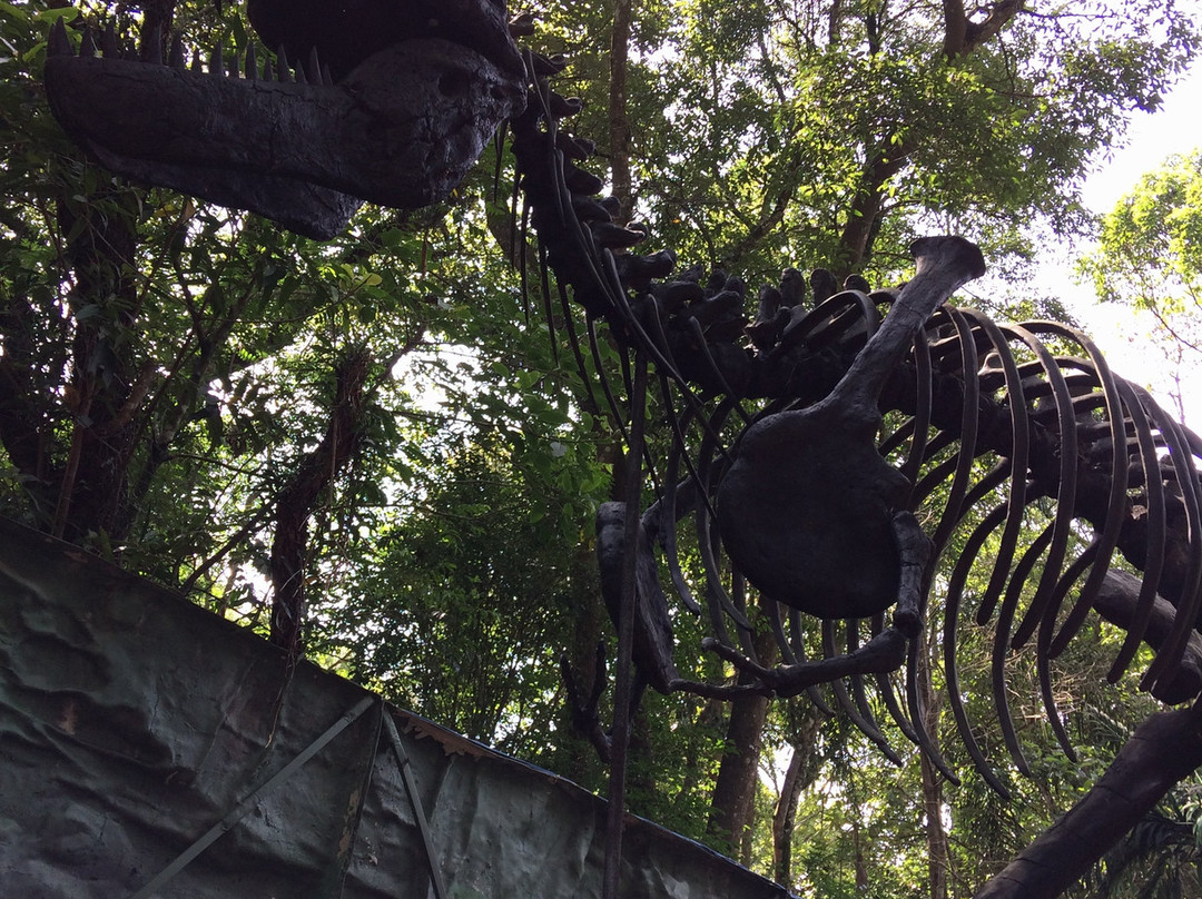 Zoologico de Sao Paulo景点图片