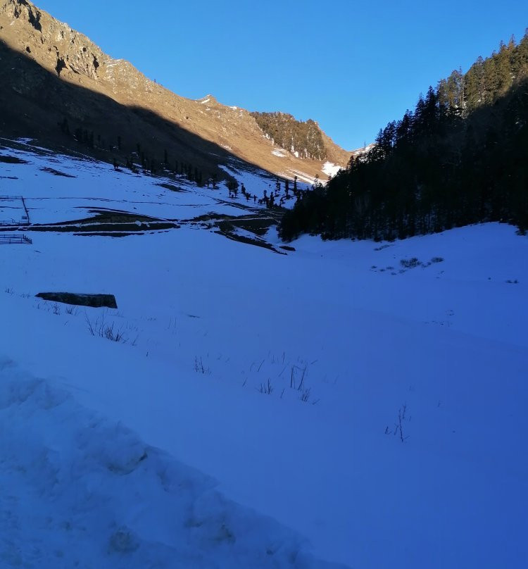 Rara Lake-Rara National Park必去景点