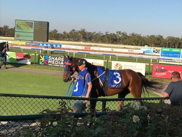 Bendigo Jockey Club-本迪戈必去景点