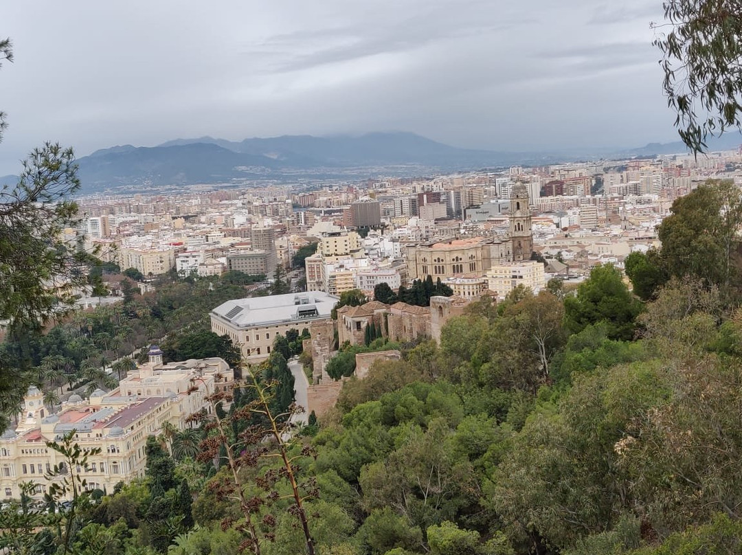 Mirador del Gibralfaro景点图片