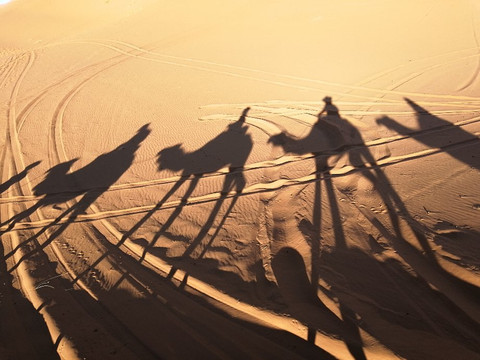 21tour of Morocco-马拉喀什必去景点