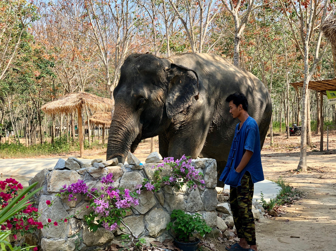 Great Memories Elephants Care Sanctuary Phuket-Thep Krasattri必去景点