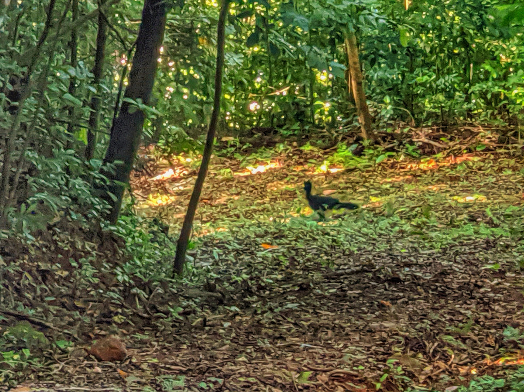 Hostal Casa de Campo Country Inn & Spa主图