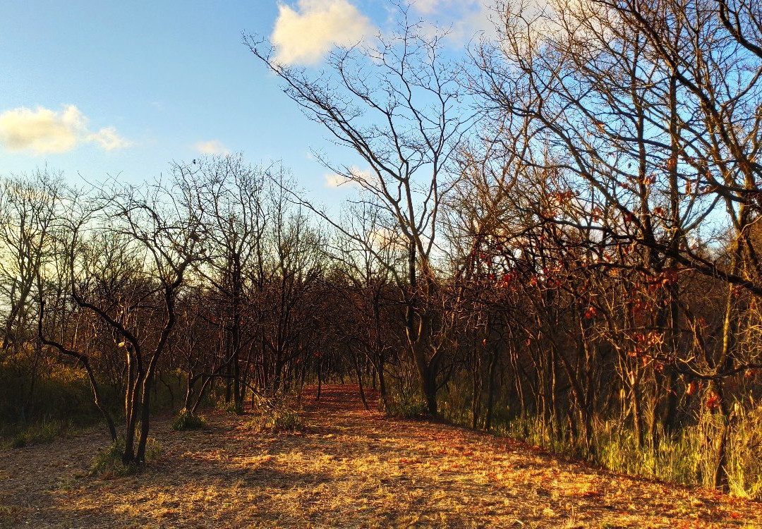 Akagawa Onsen Spaju主图