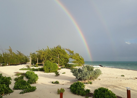Best Day Tours-普罗维登西亚莱斯必去景点