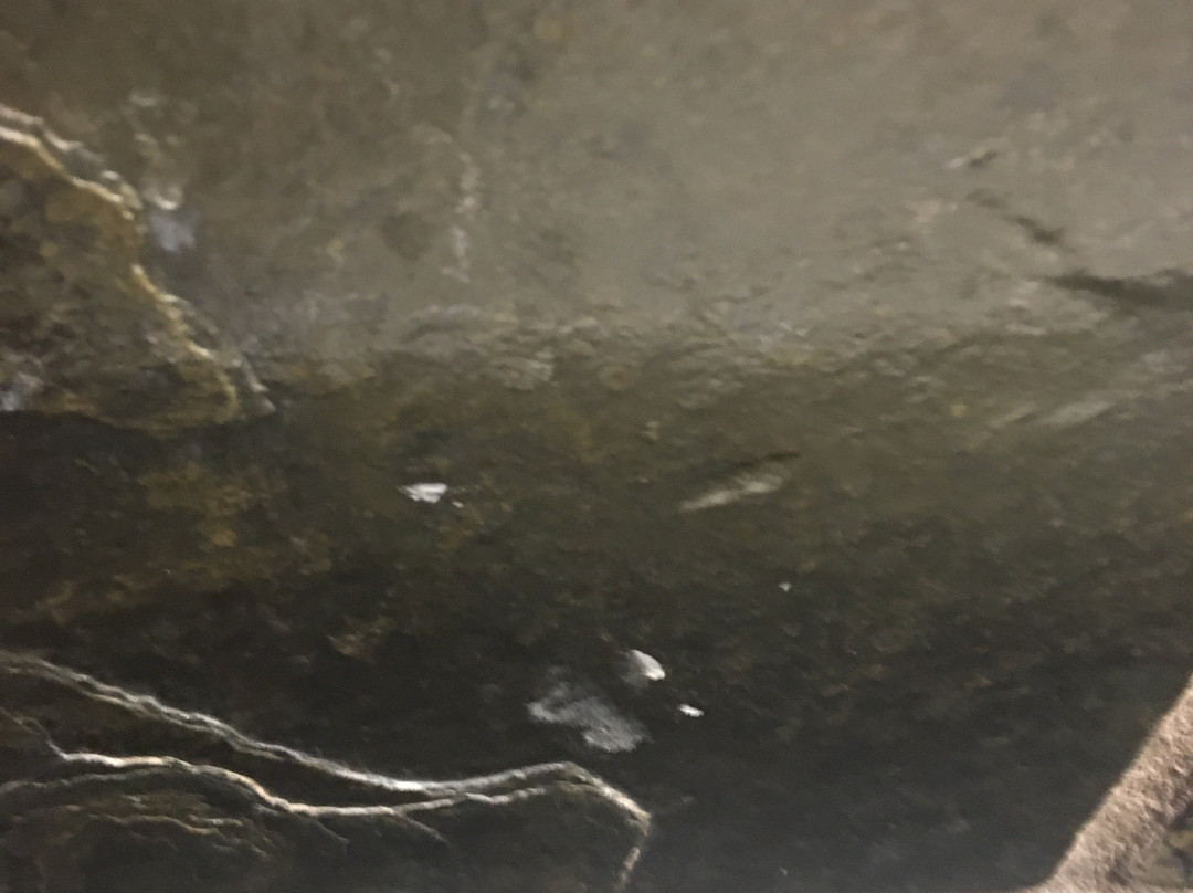 The Village Inns of Blowing Rock: Village Inn主图