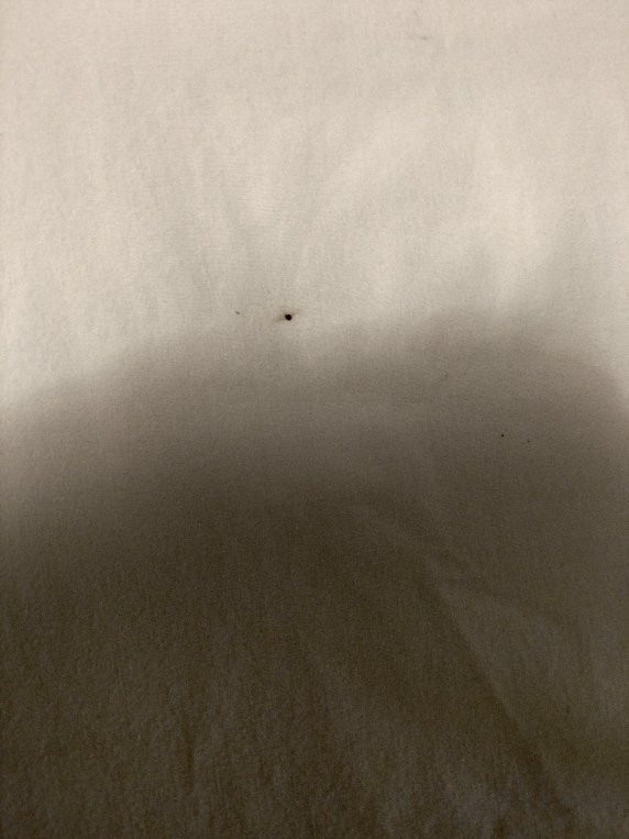 Super 8 by Wyndham Cloverdale主图