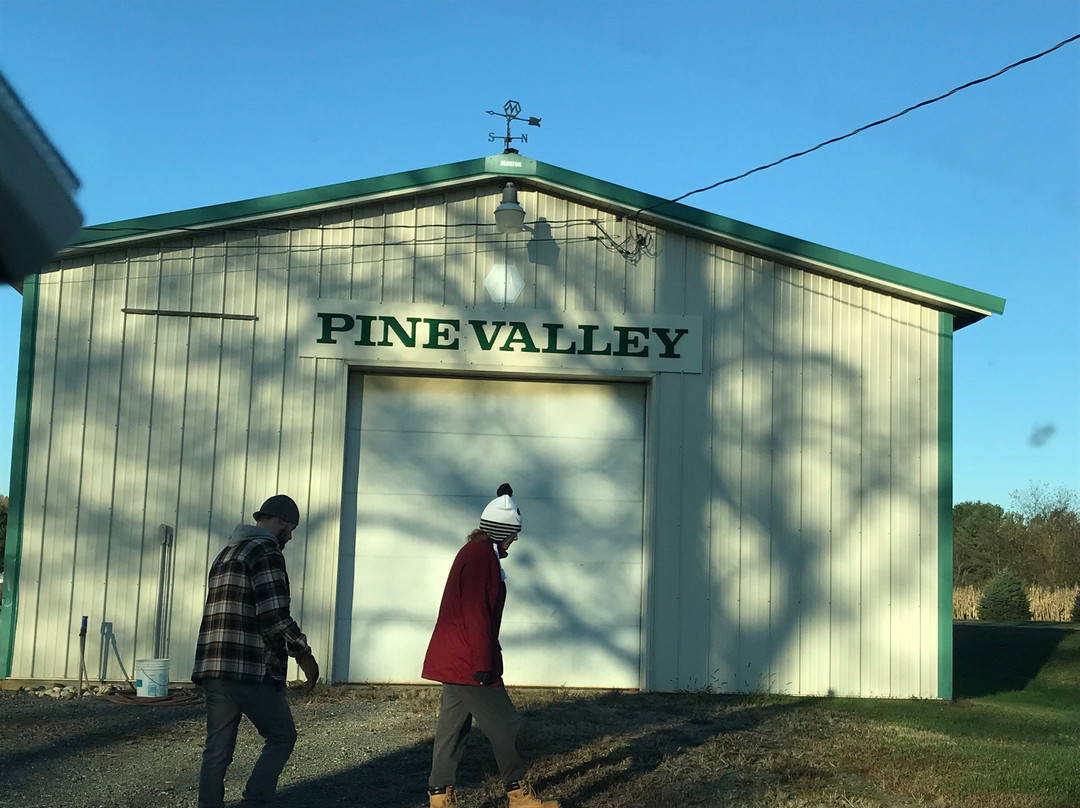 Pine Valley Christmas Trees-埃尔克顿必去景点