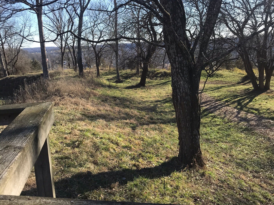 Leslie Morris Park on Fort Hill-法兰克福必去景点