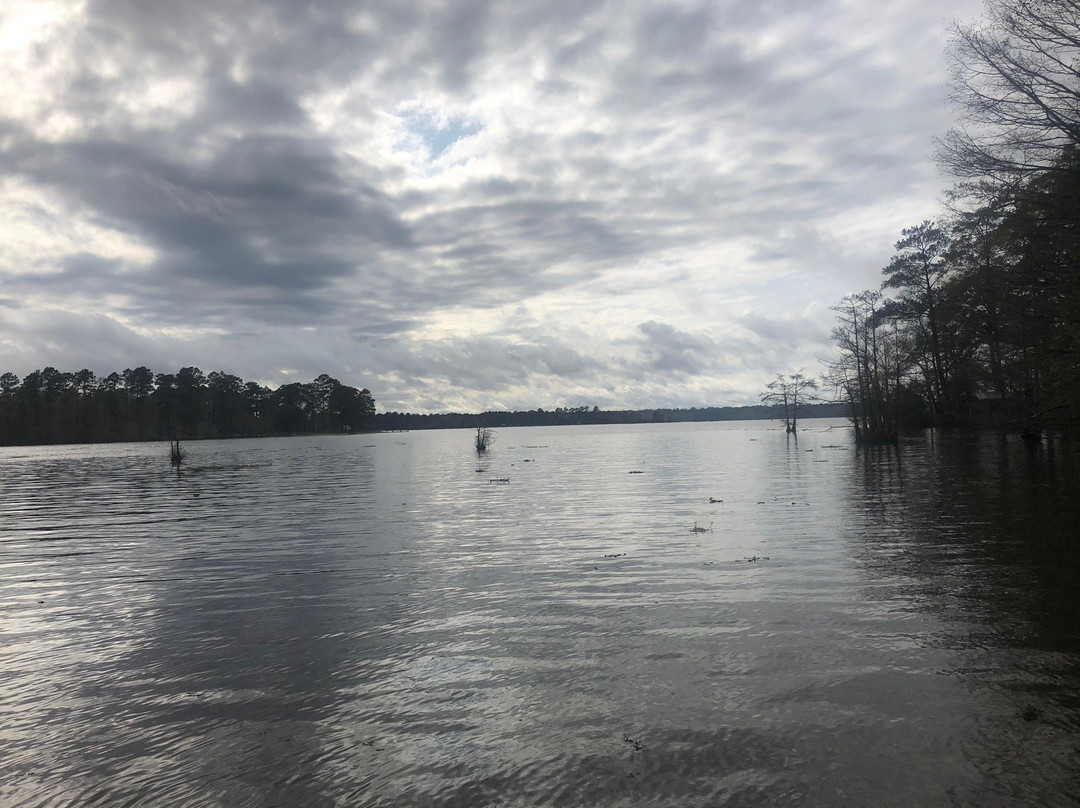 Sandy Creek-Jasper必去景点