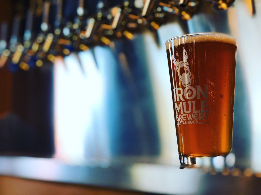 Iron Mule Brewery-罗克堡必去景点