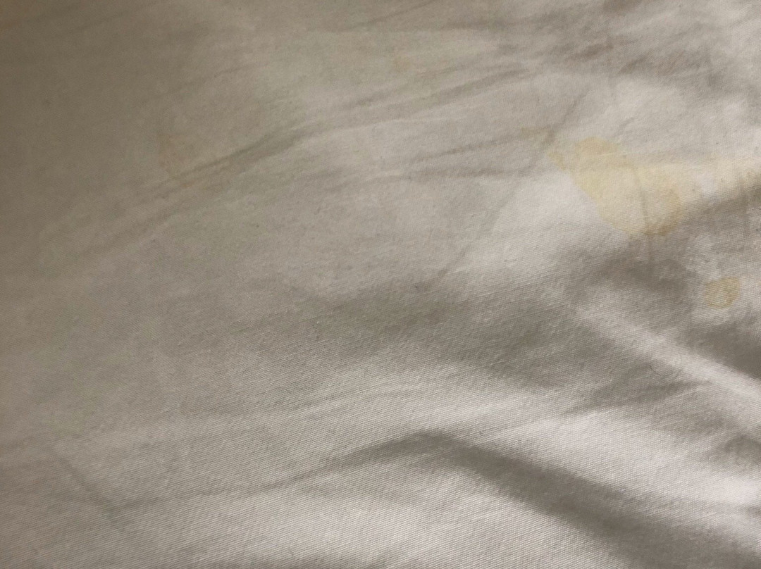 伯灵顿希尔顿逸林酒店主图