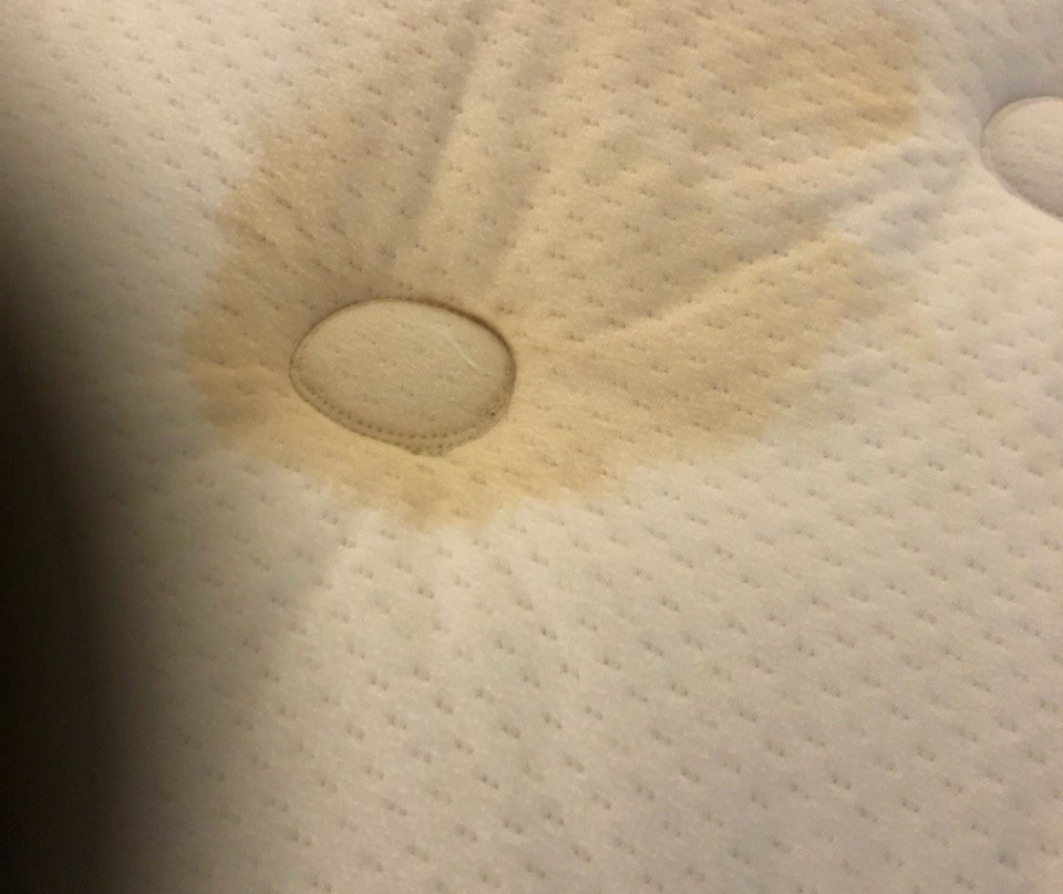 Staybridge Suites Kansas City-Independence by IHG主图