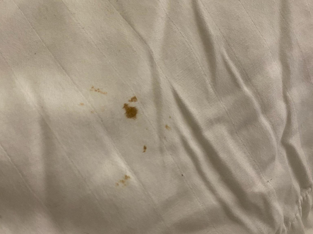 大洋棕榈汽车旅馆主图