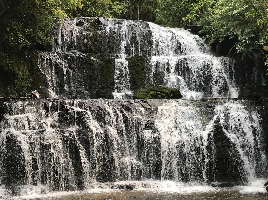 Purakaunui Falls Walk景点图片