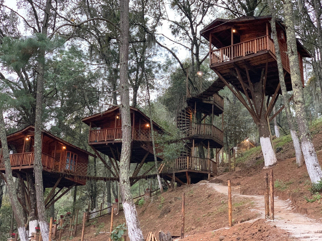 Cabañas Kali Tree