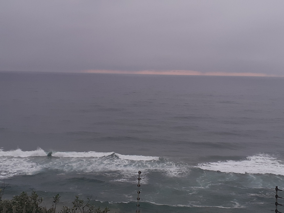 Dolphin Point Bed & Breakfast主图