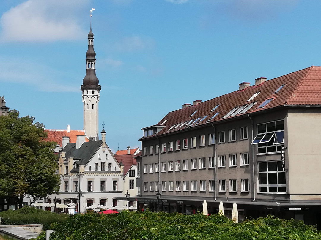 Peter Good Tours-圣彼得堡必去景点