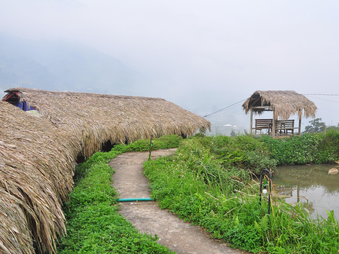 Local Tours SAPA景点图片