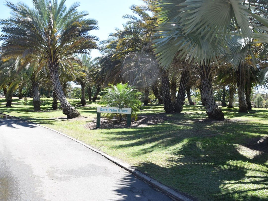 Botanic Gardens-汤斯维尔必去景点