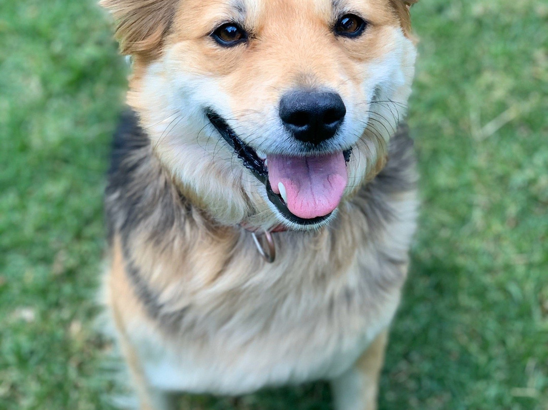 Casa Magnolia Cumbayá主图