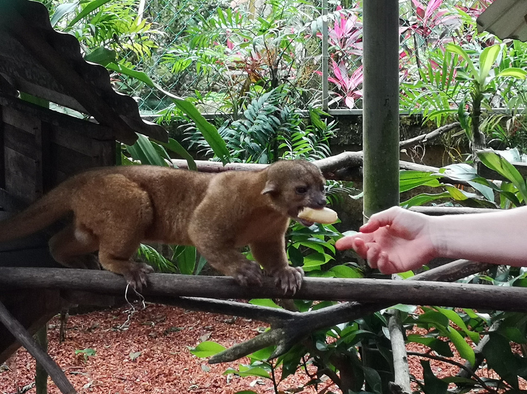 Tree of Life Wildlife Rescue Center and Botanical Gardens-卡维塔必去景点