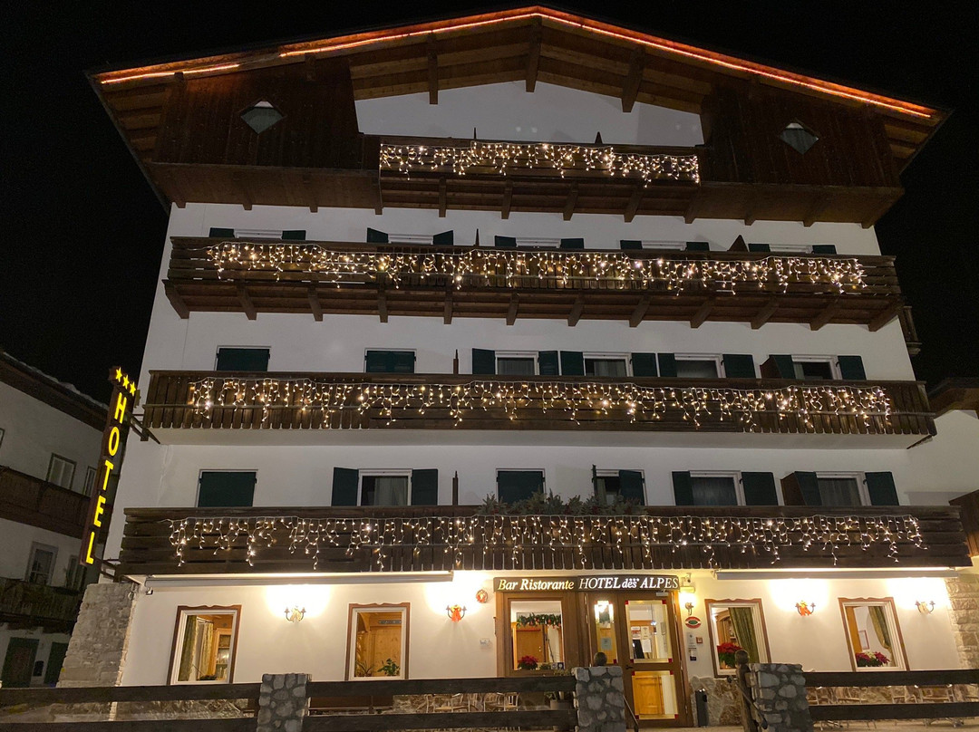 Hotel des Alpes主图
