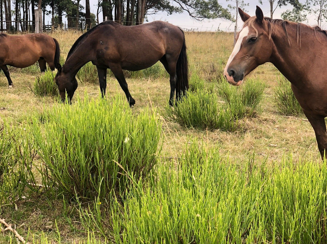 Casa Quetzal Hotel主图