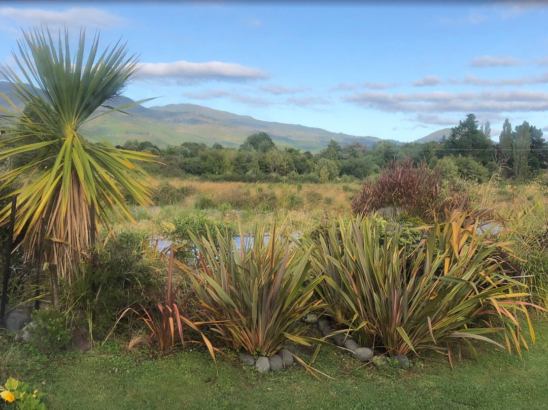 At The Tongariro Riverside B&B主图