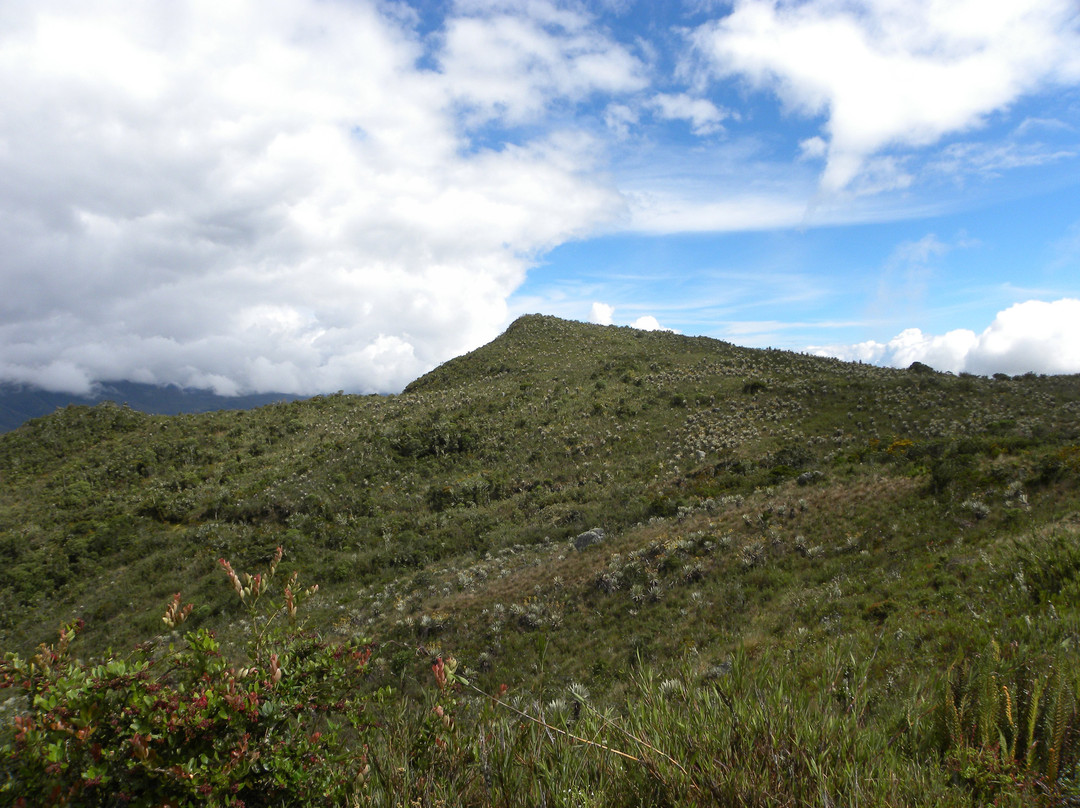 Chingaza National Park景点图片