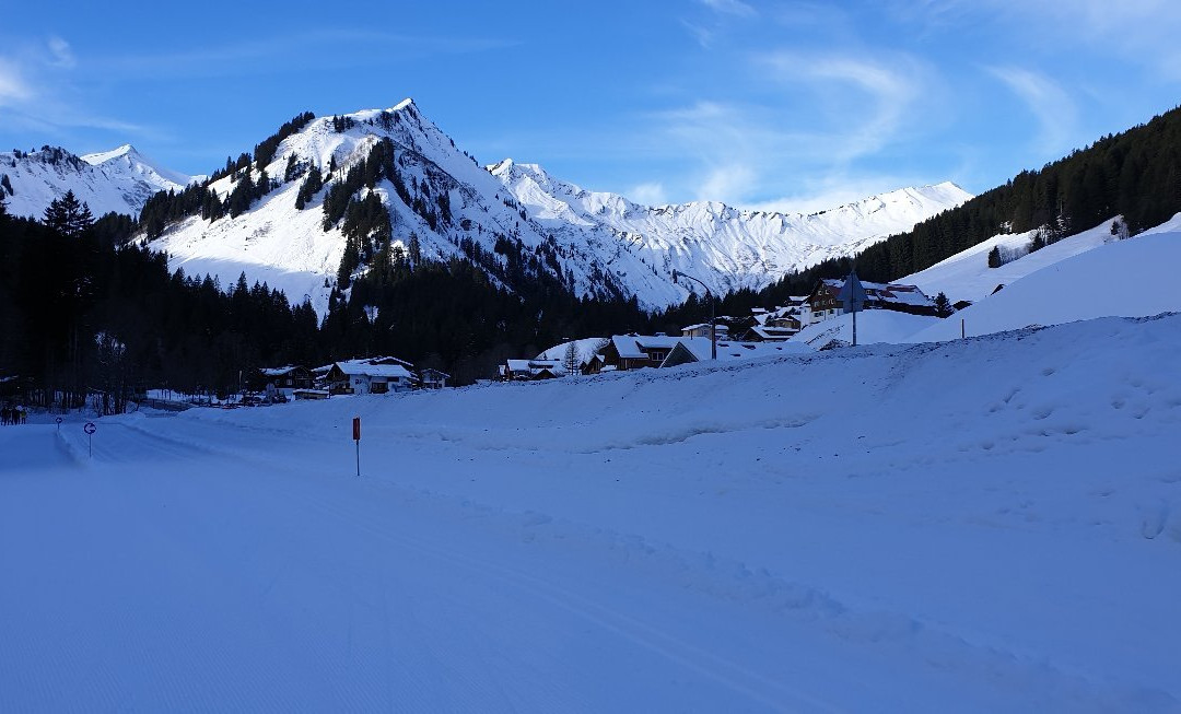 Alpenhotel Widderstein