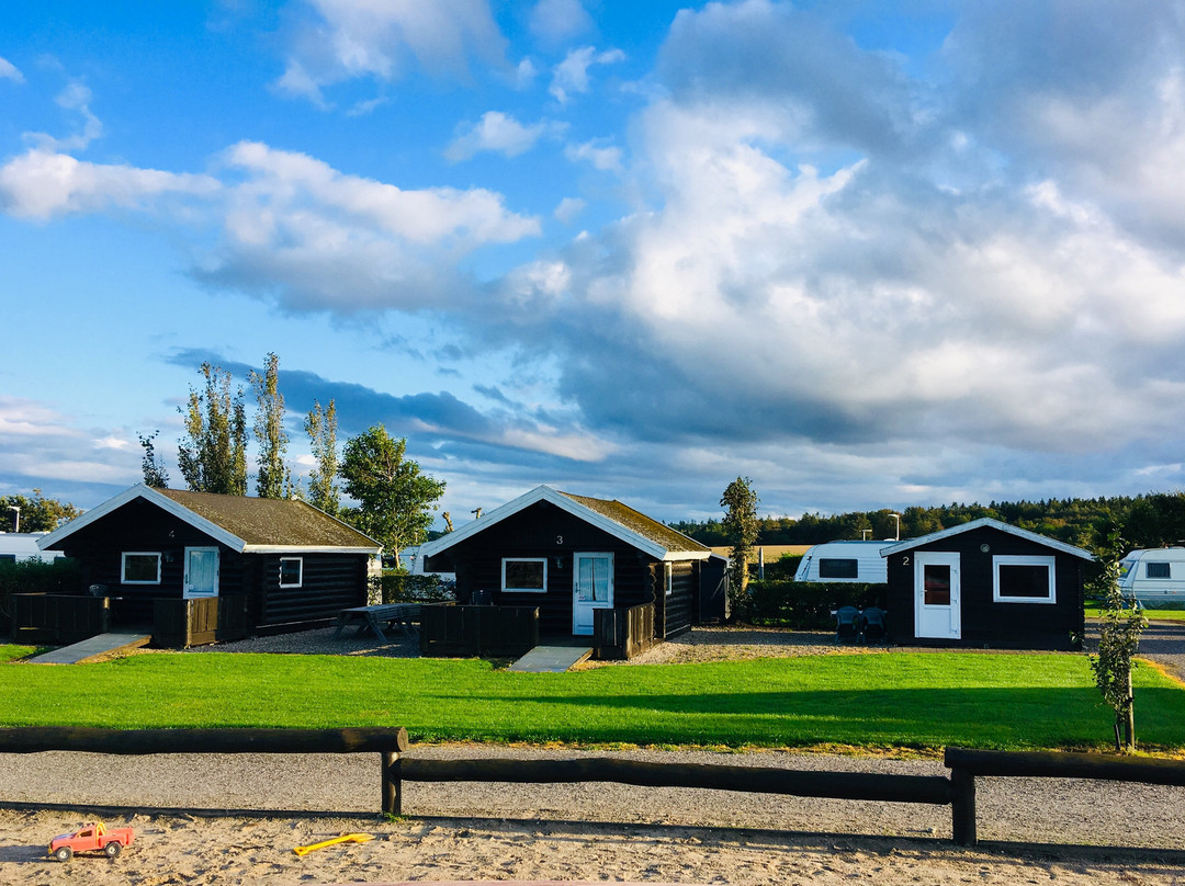 Trend旅游攻略图片