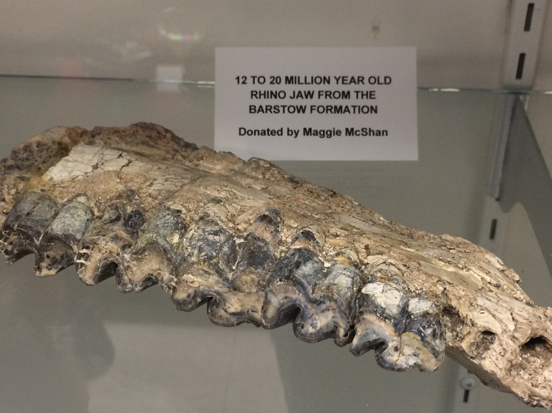 Needles Regional Museum-尼德尔斯必去景点