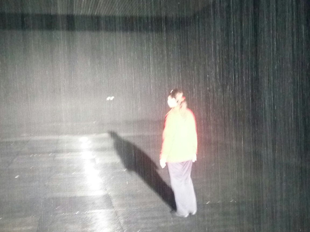Rain Room-沙迦必去景点