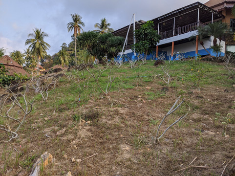 象岛艾雅普拉酒店主图